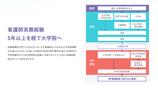 NPになるための進学プロセスの図。